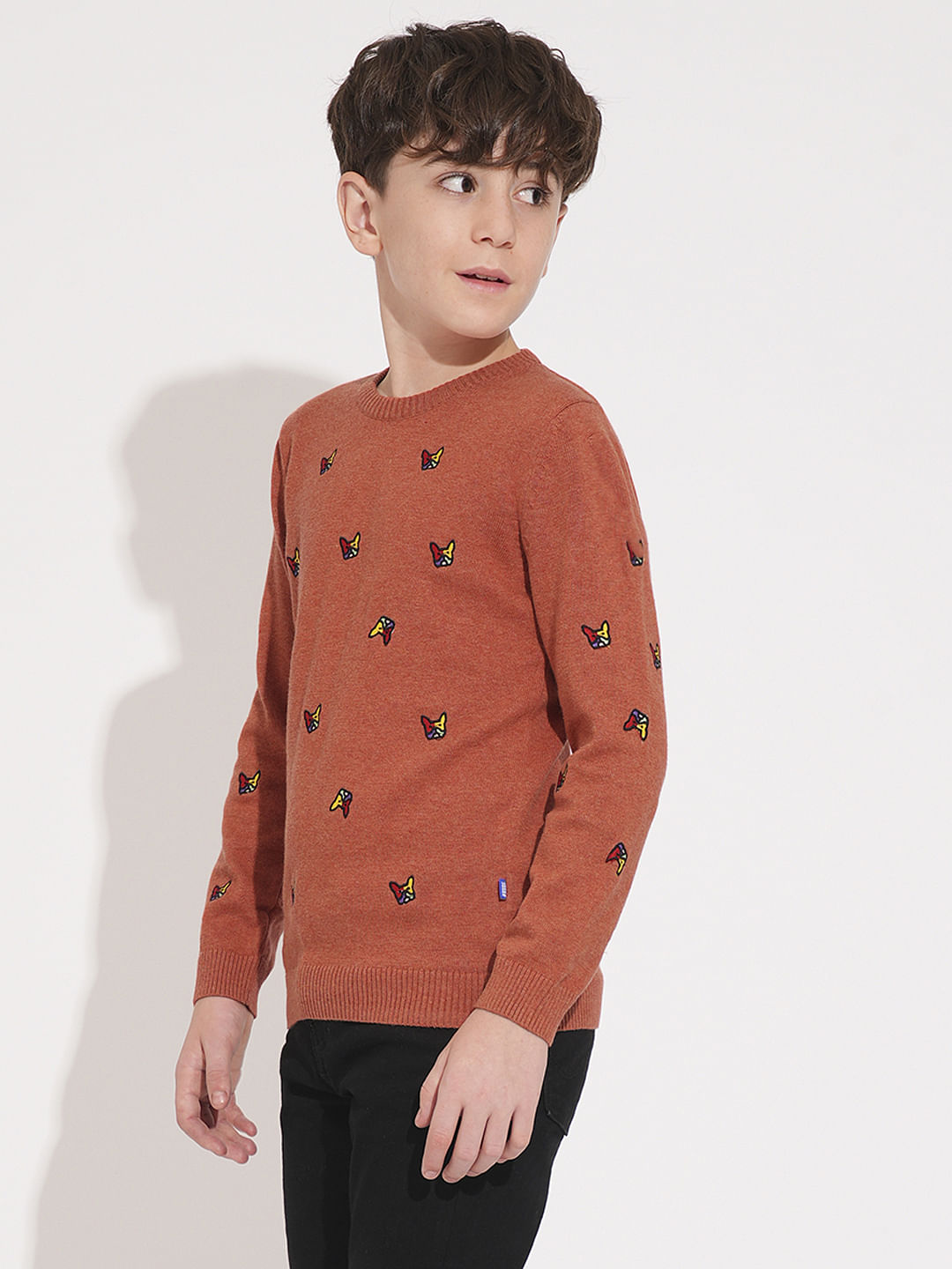 Boys Rust Frenchie Doggo Print Pullover