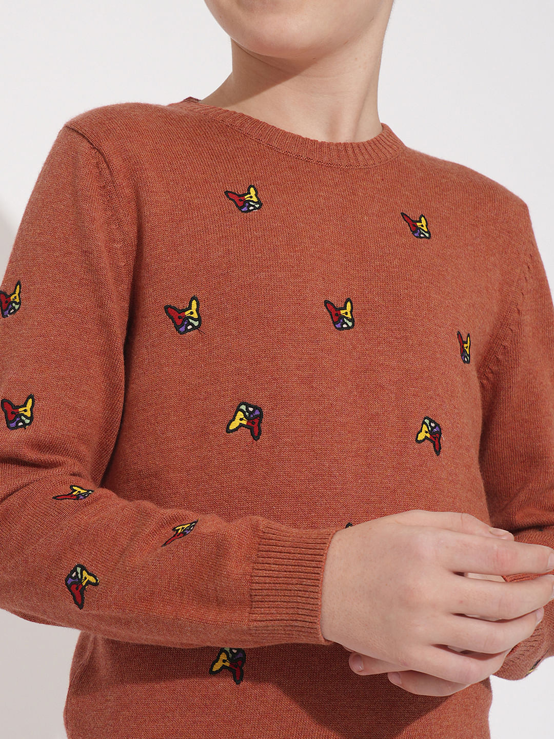 Boys Rust Frenchie Doggo Print Pullover