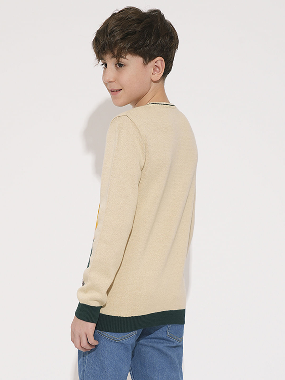 Boys Beige Printed Knitted Pullover