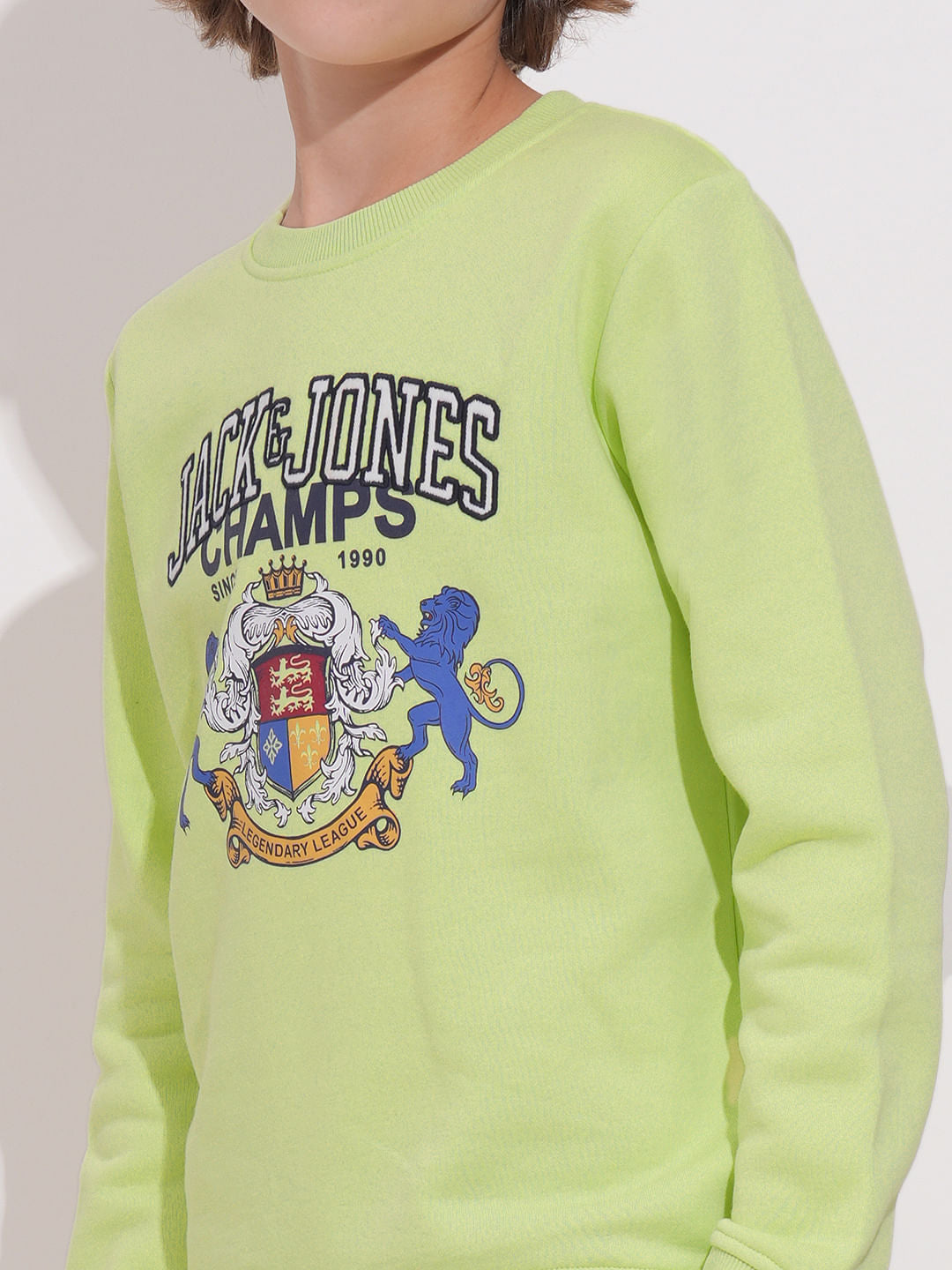Boys Pastel Green Printed Sweatshirt