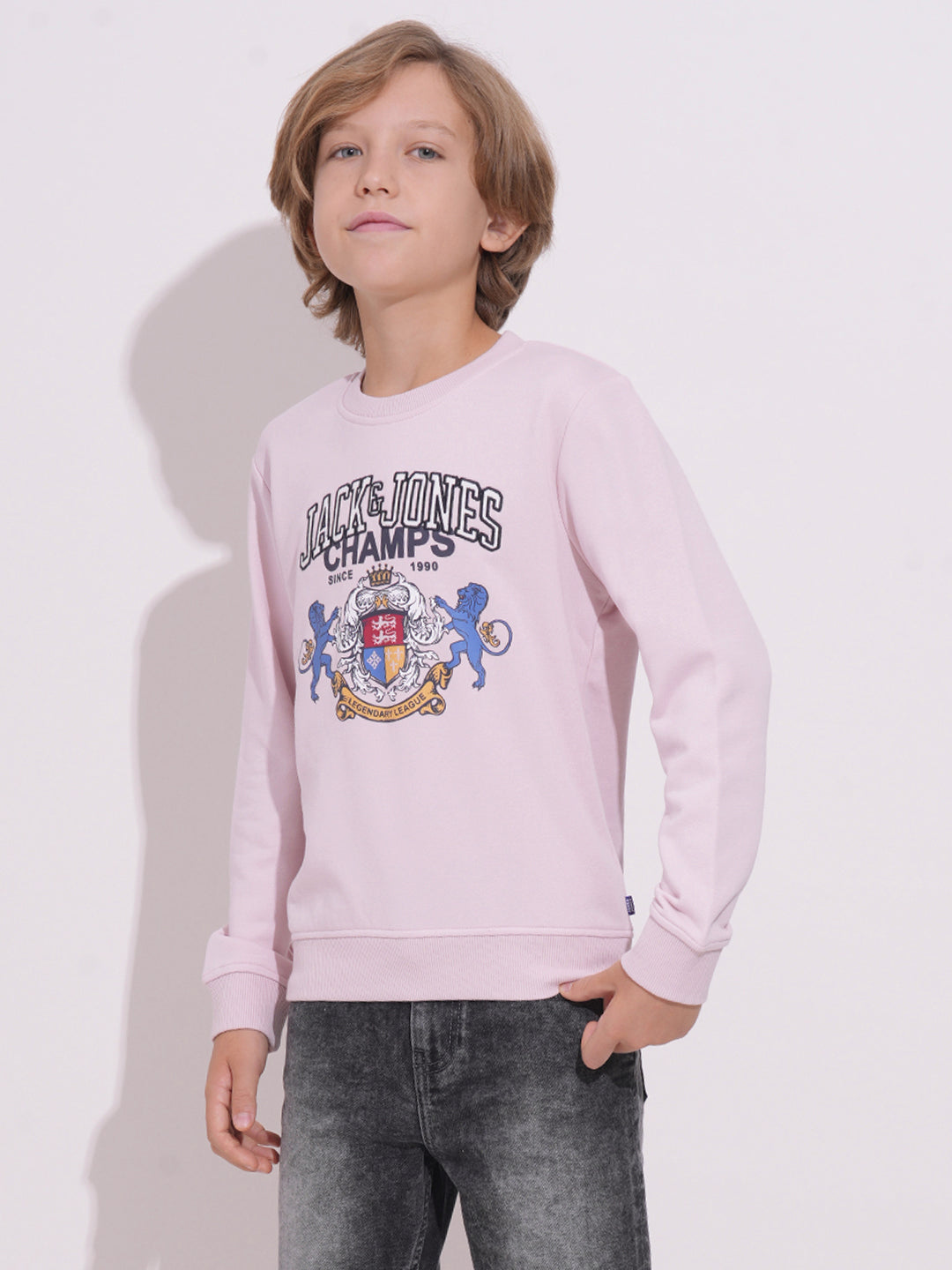 Boys Lilac Printed Sweatshirt