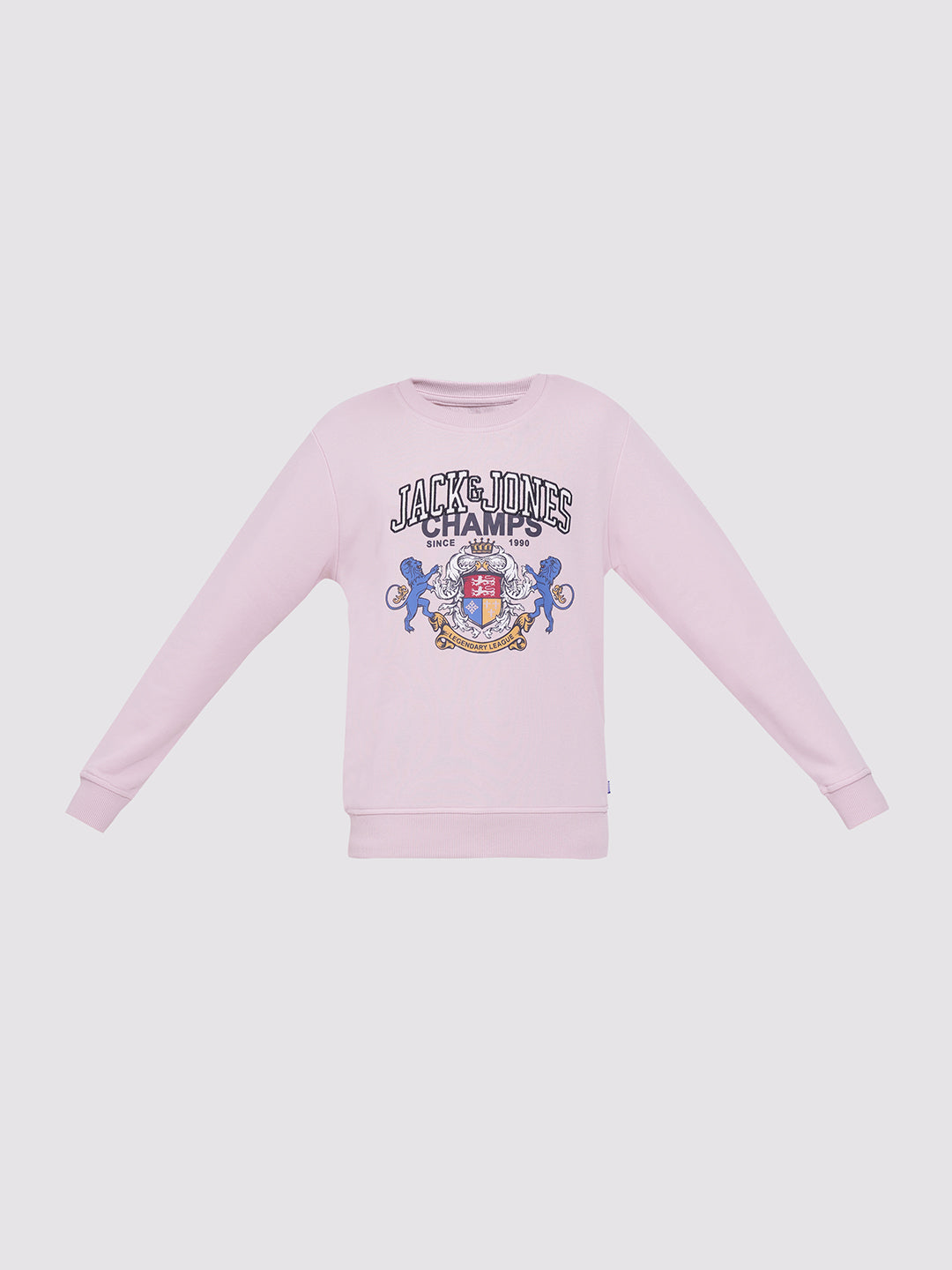 Boys Lilac Printed Sweatshirt