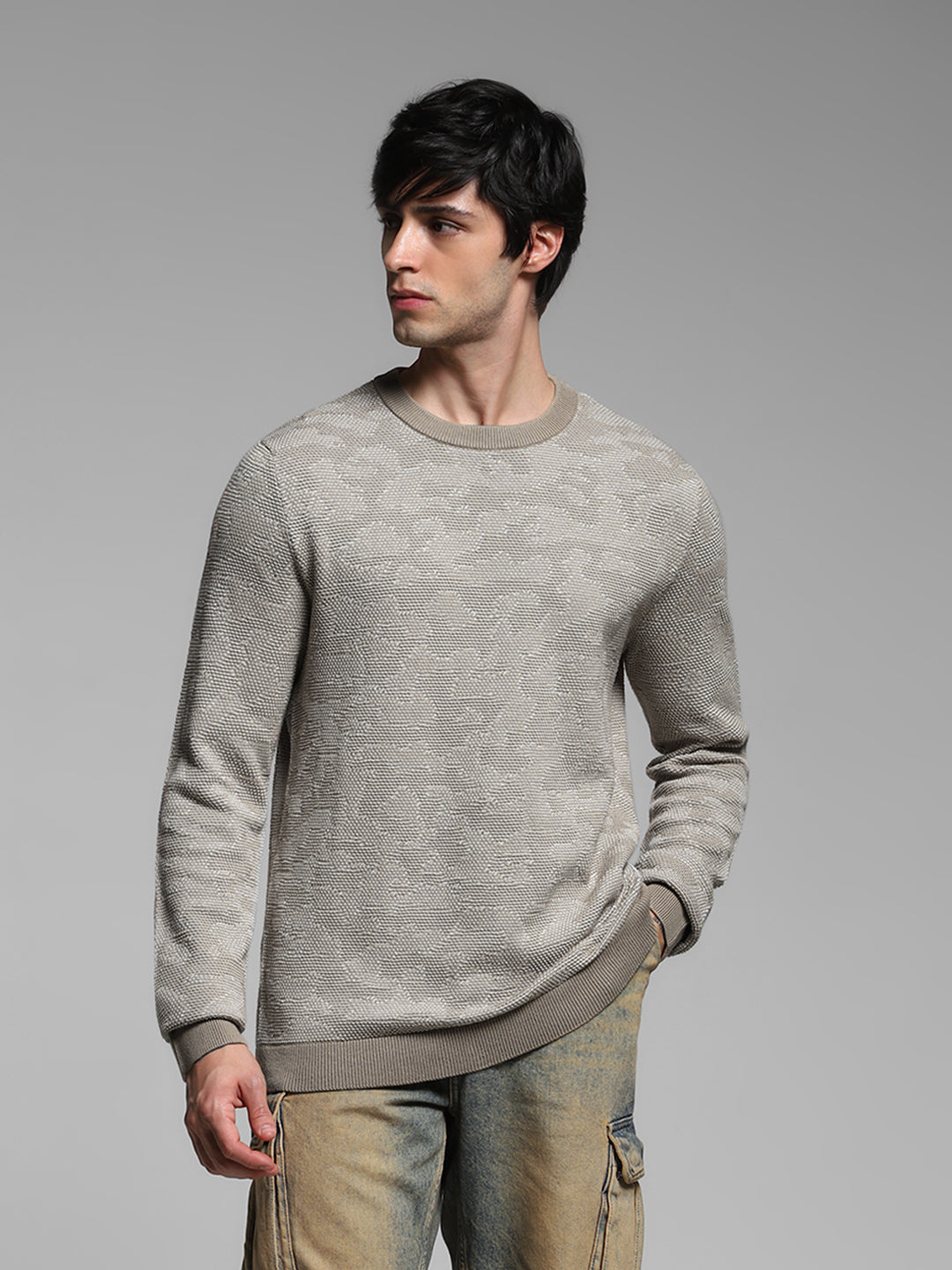 Beige Jacquard Pullover