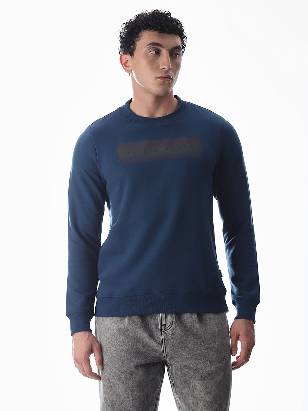 Blue Printed Regular Fit Sweatshirt