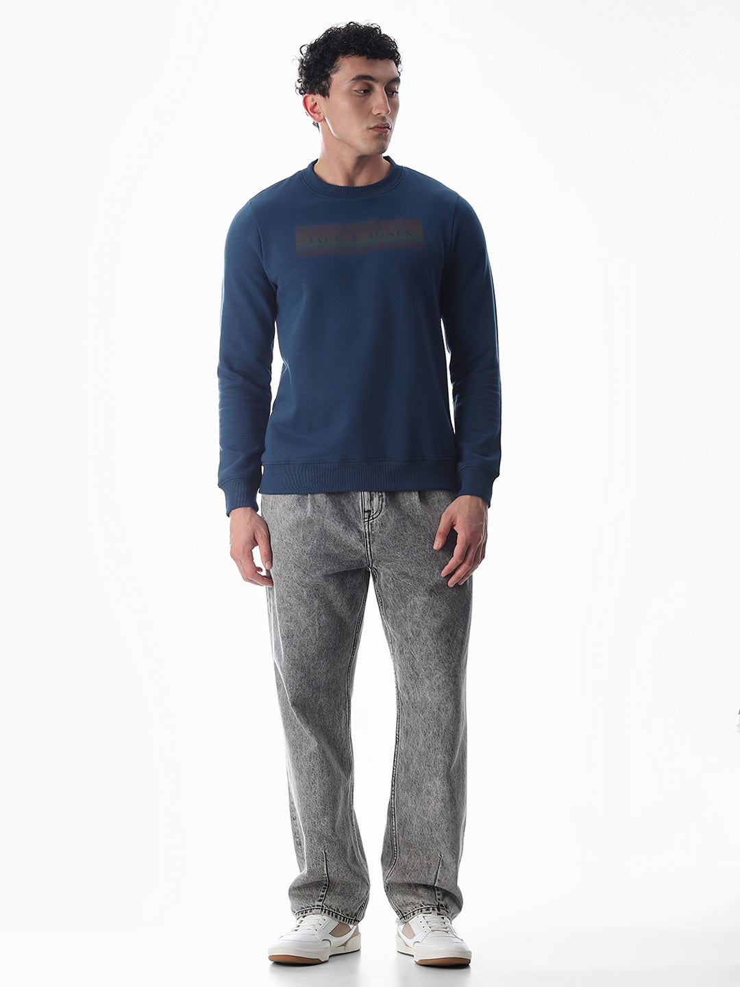 Blue Printed Regular Fit Sweatshirt