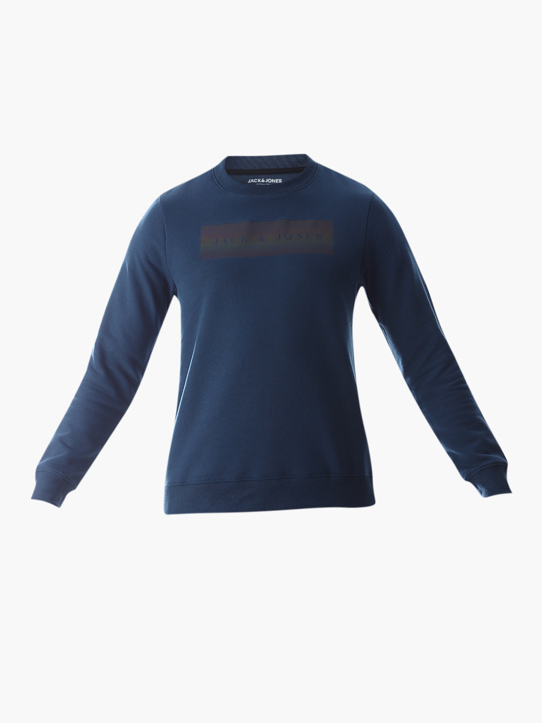 Blue Printed Regular Fit Sweatshirt