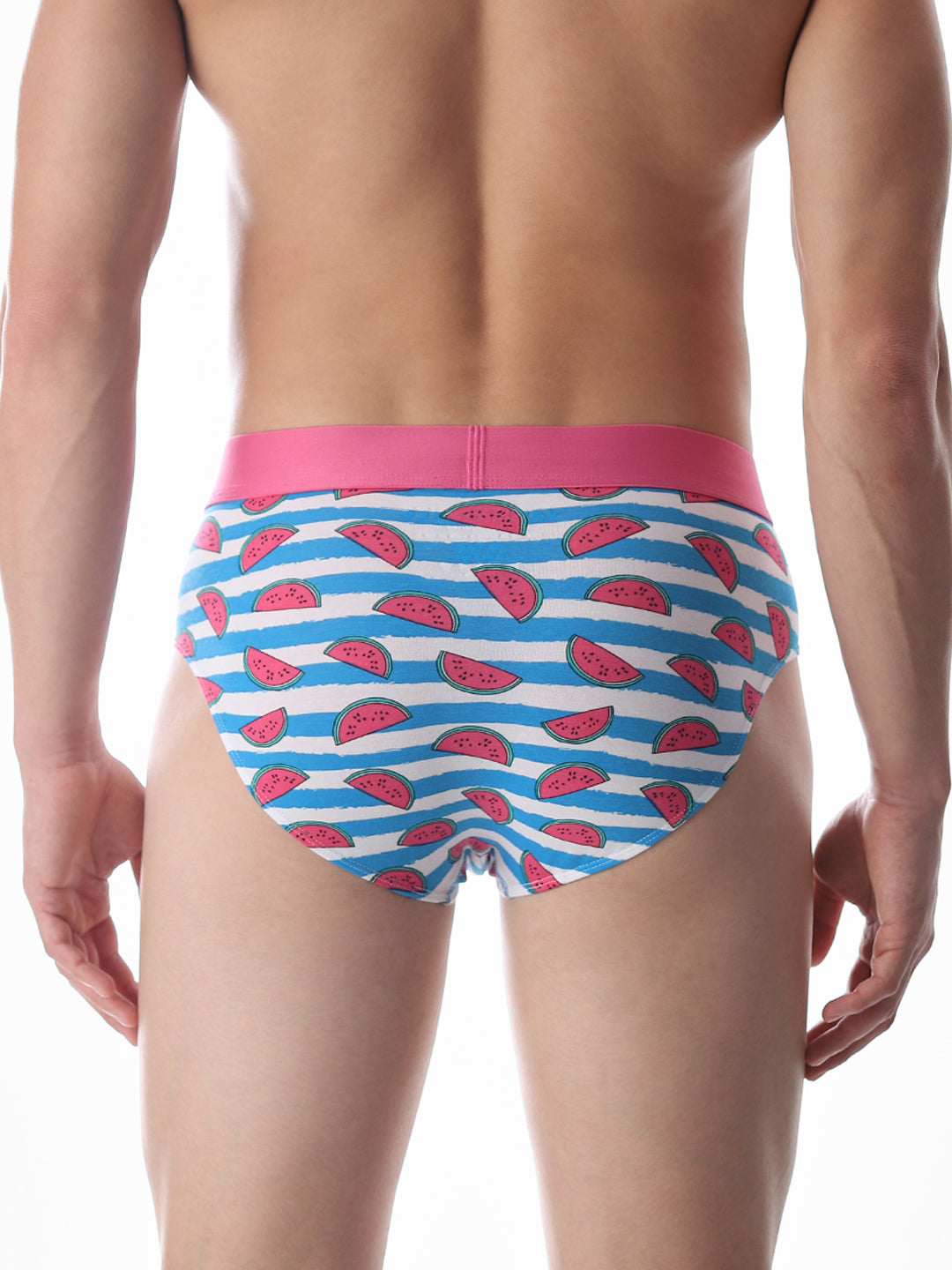 Blue Watermelon Striped Print Briefs