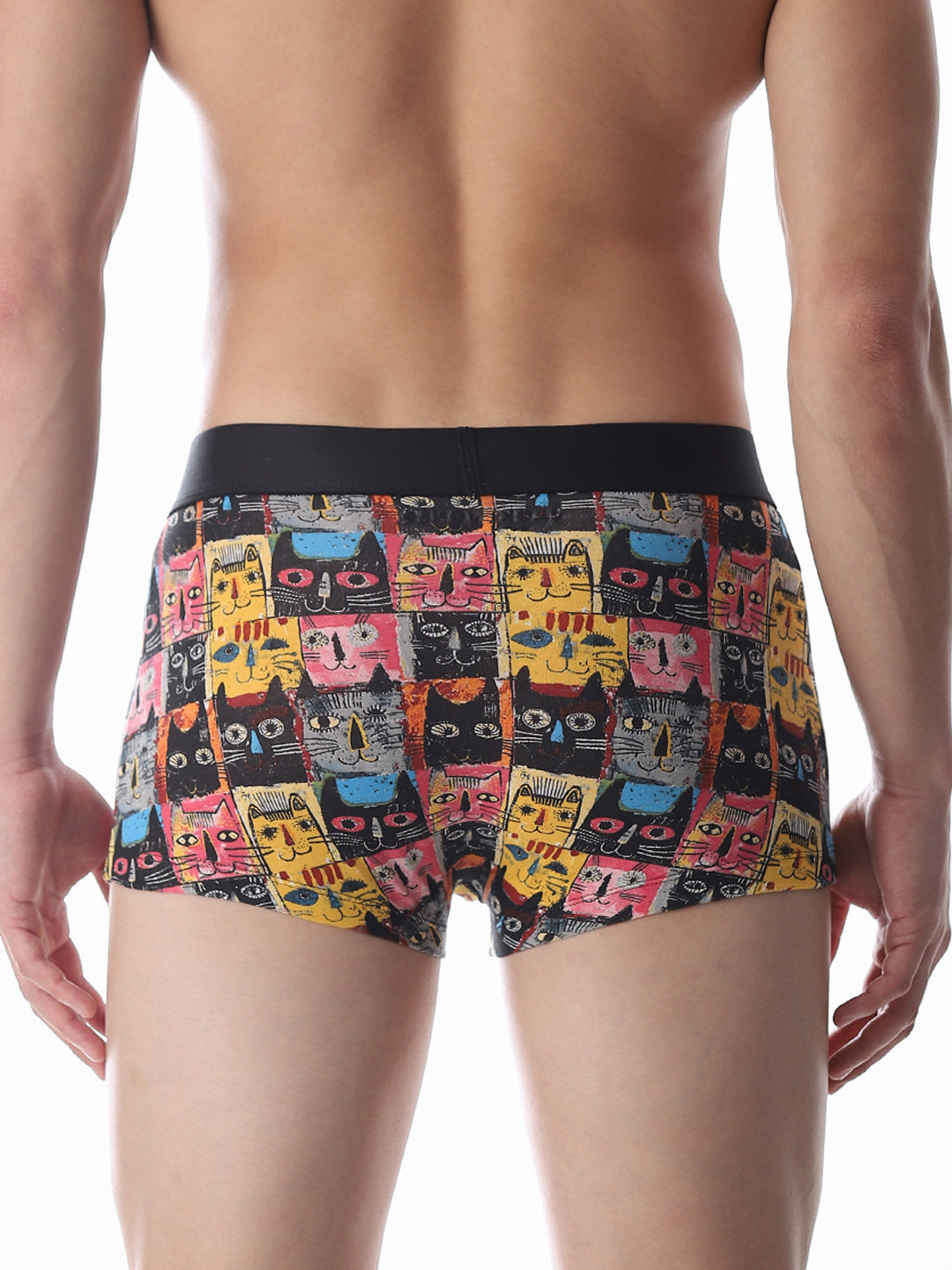 Multi-Colour Printed Trunks