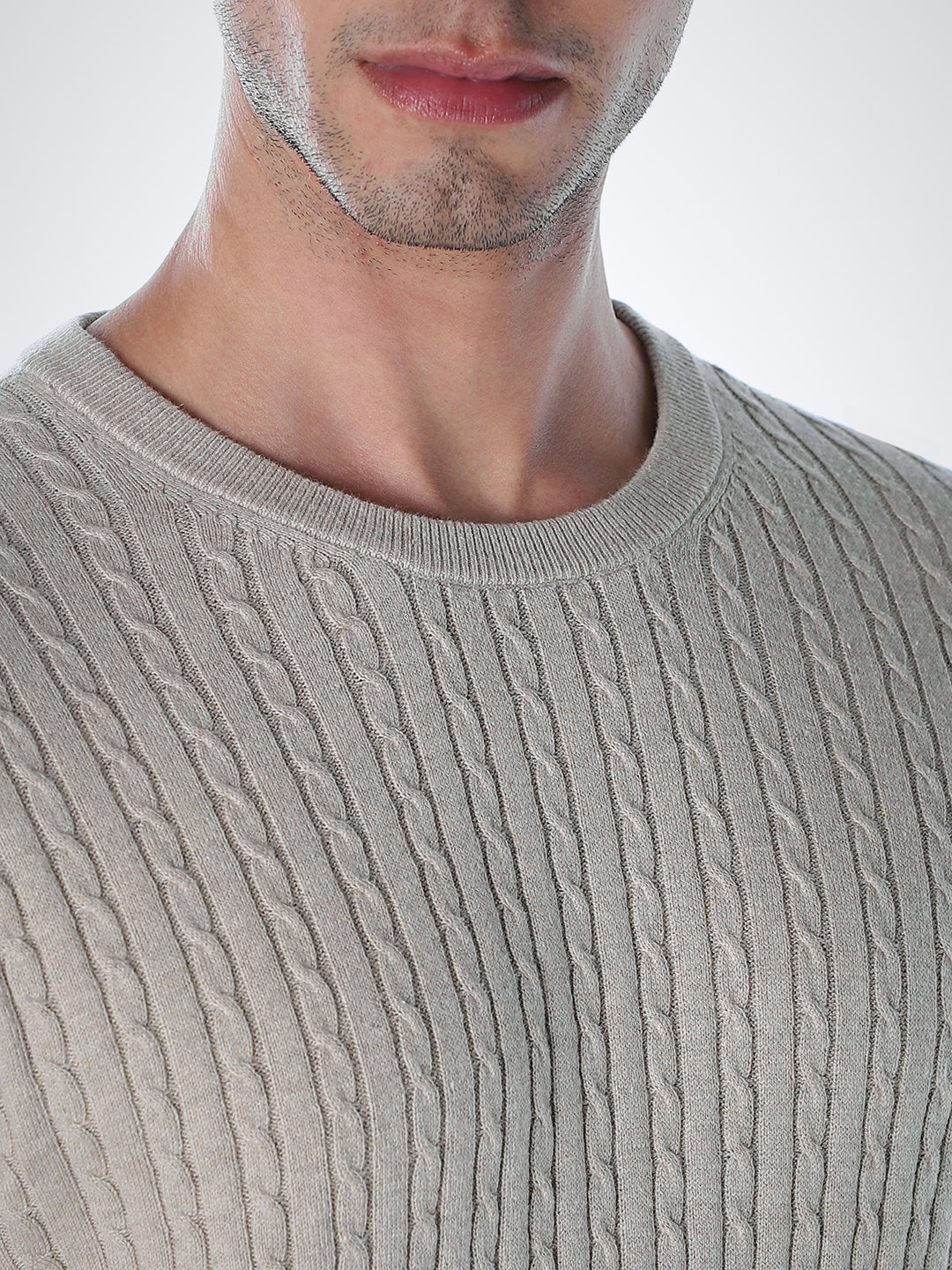 Beige Slim Fit Pullover