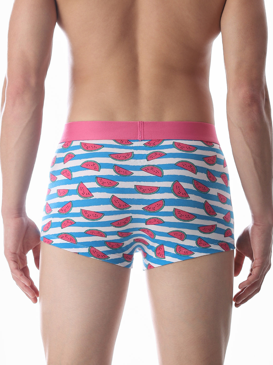 Blue Watermelon Striped Print Trunks