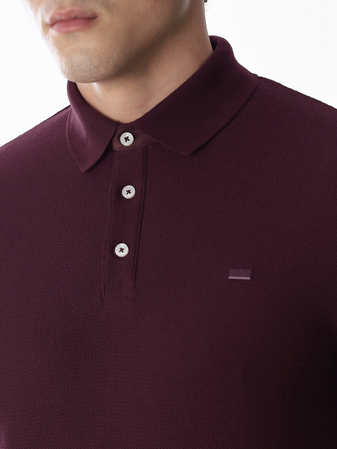 Regular Fit Cotton Polo
