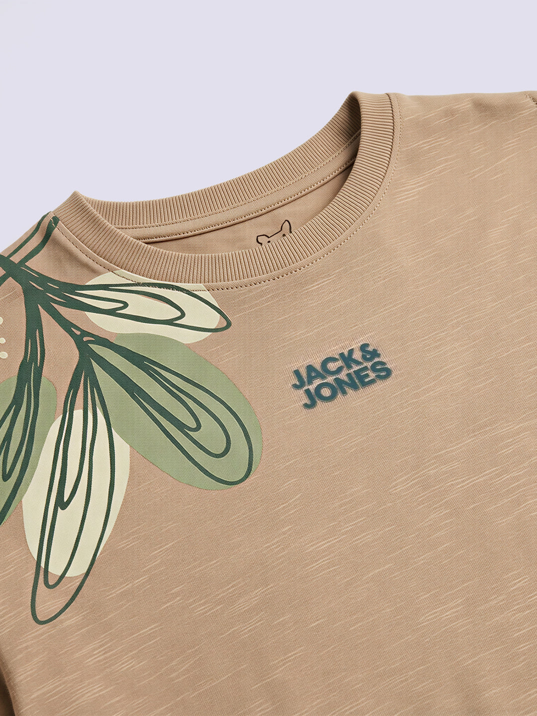 Boys Taupe Embroidered Cotton T-Shirt