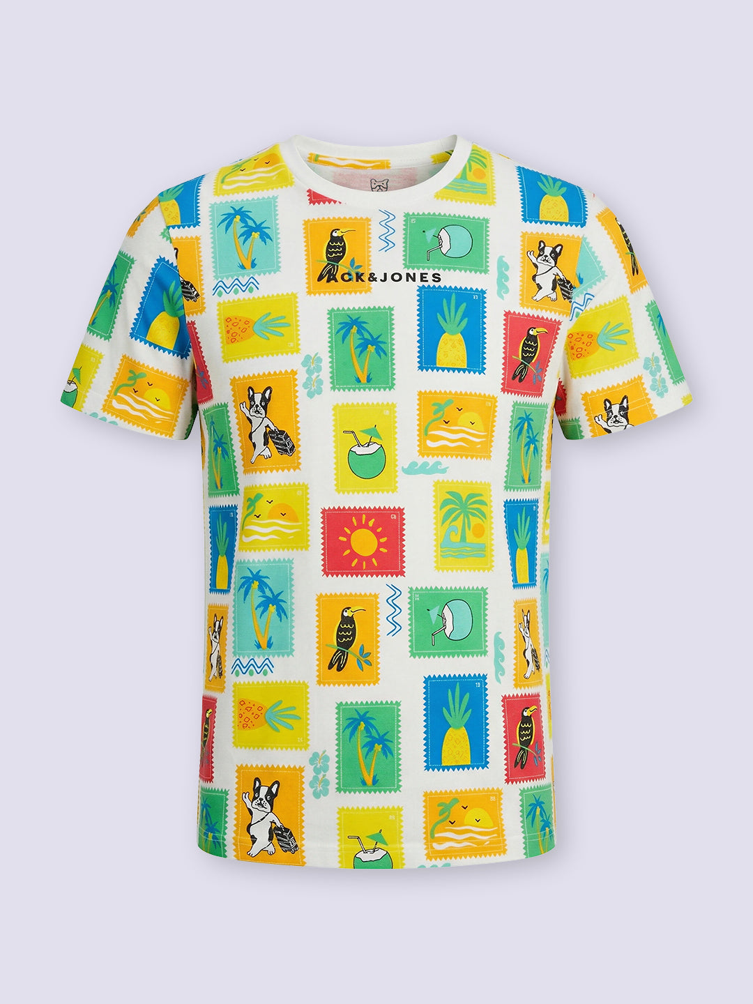 Boys Multi-Colour Printed T-shirt