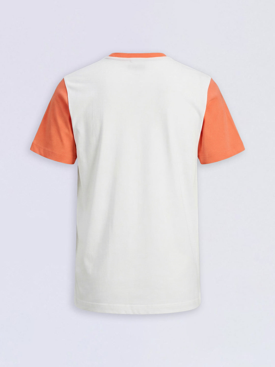 Boys Colourblocked Printed T-shirt