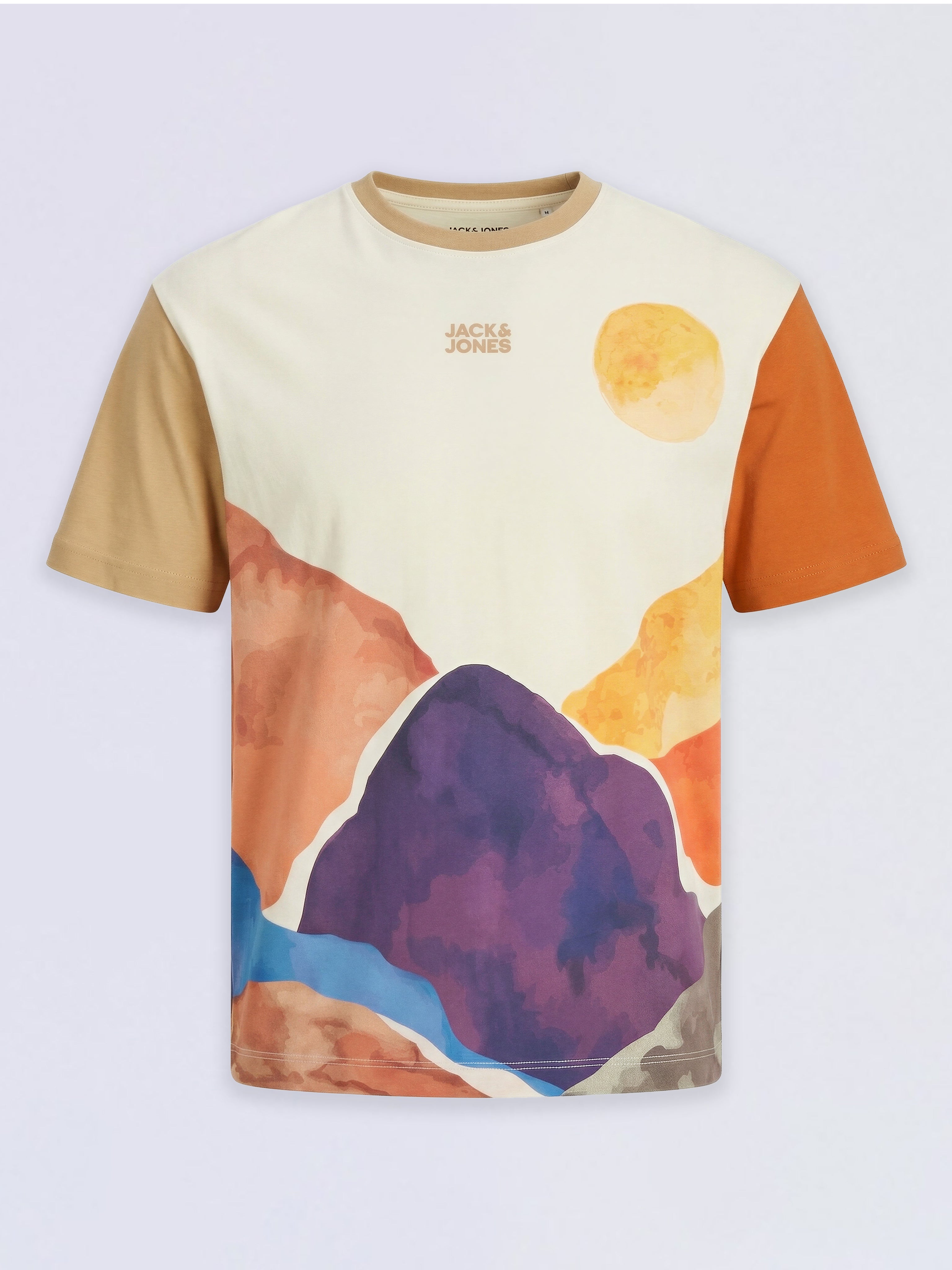 Boys Brown Colourblocked Oversized T-shirt