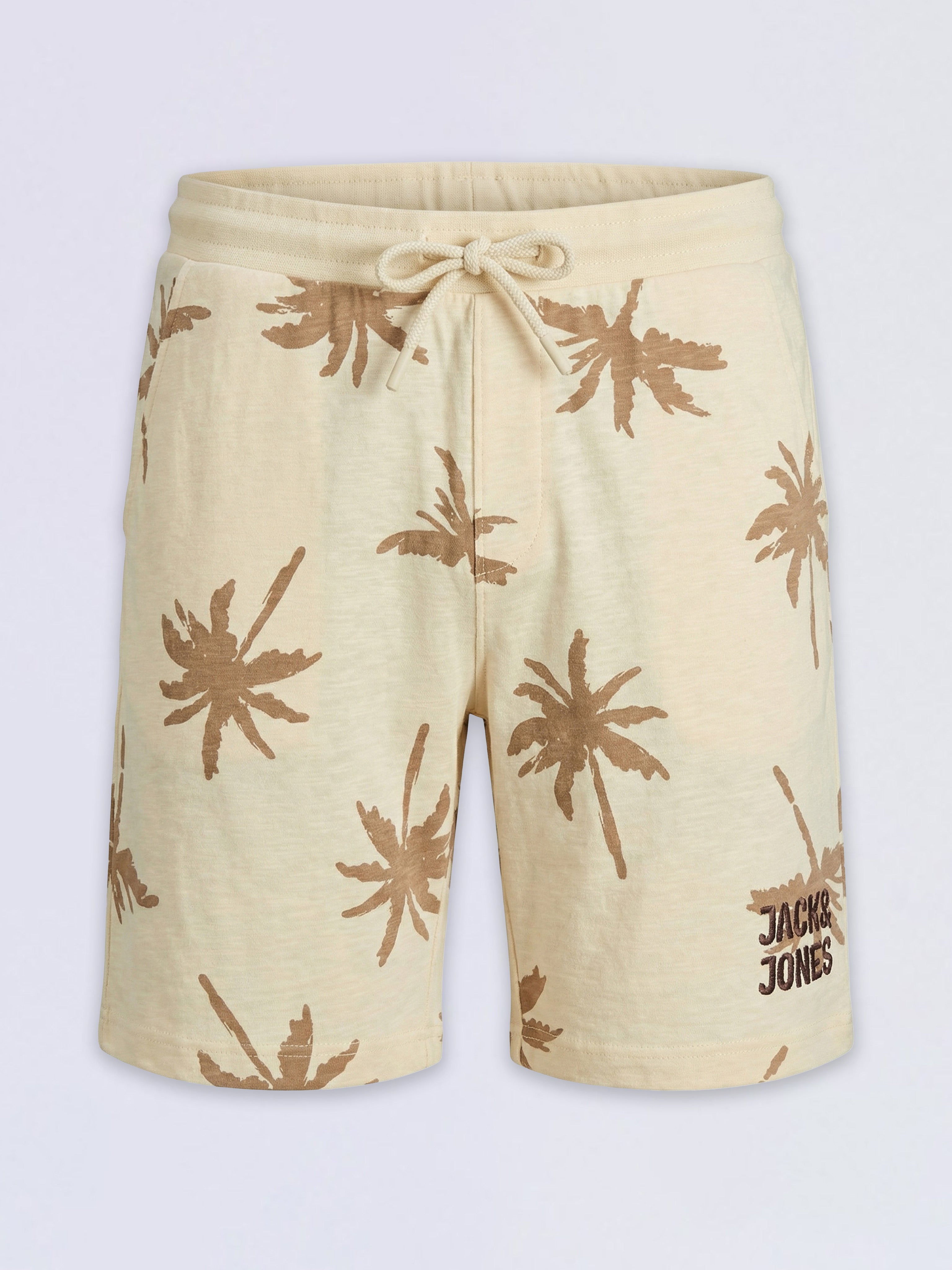 Boys Palm Tree Printed Shorts