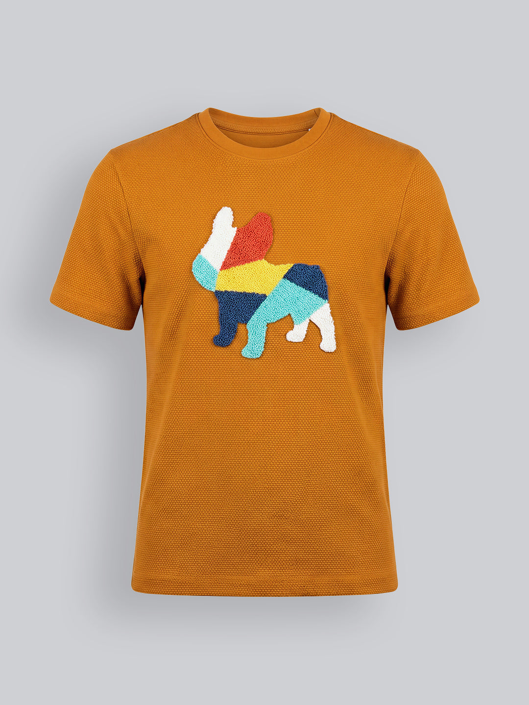 Boys Embroidered Print T-shirt