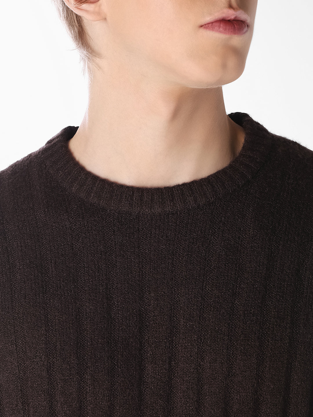 Brown Textured Knitted Crew Neck Pullover