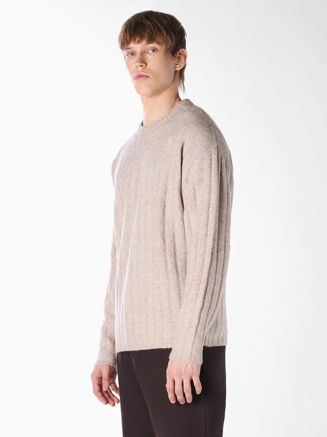 Beige Textured Knitted Crew Neck Pullover