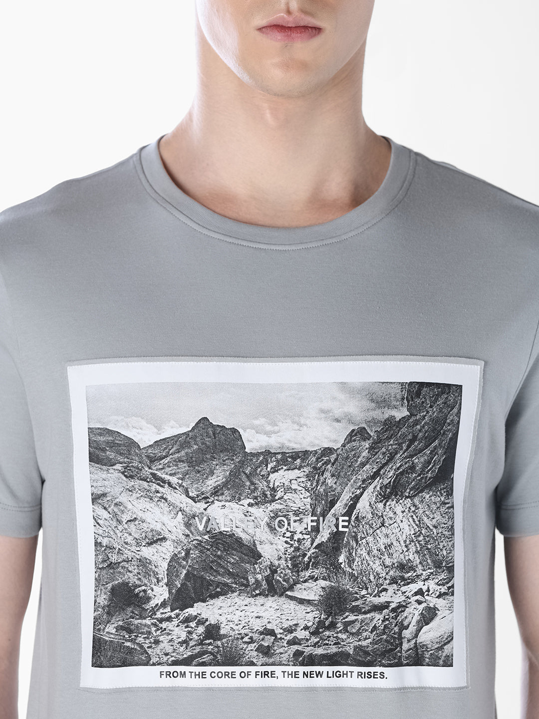 Grey Printed Crew Neck T-shirt
