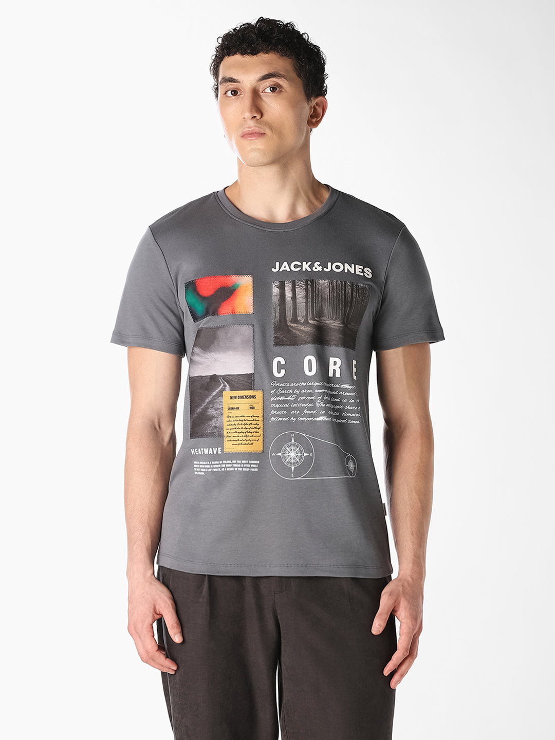 Grey Graphic Print T-Shirt
