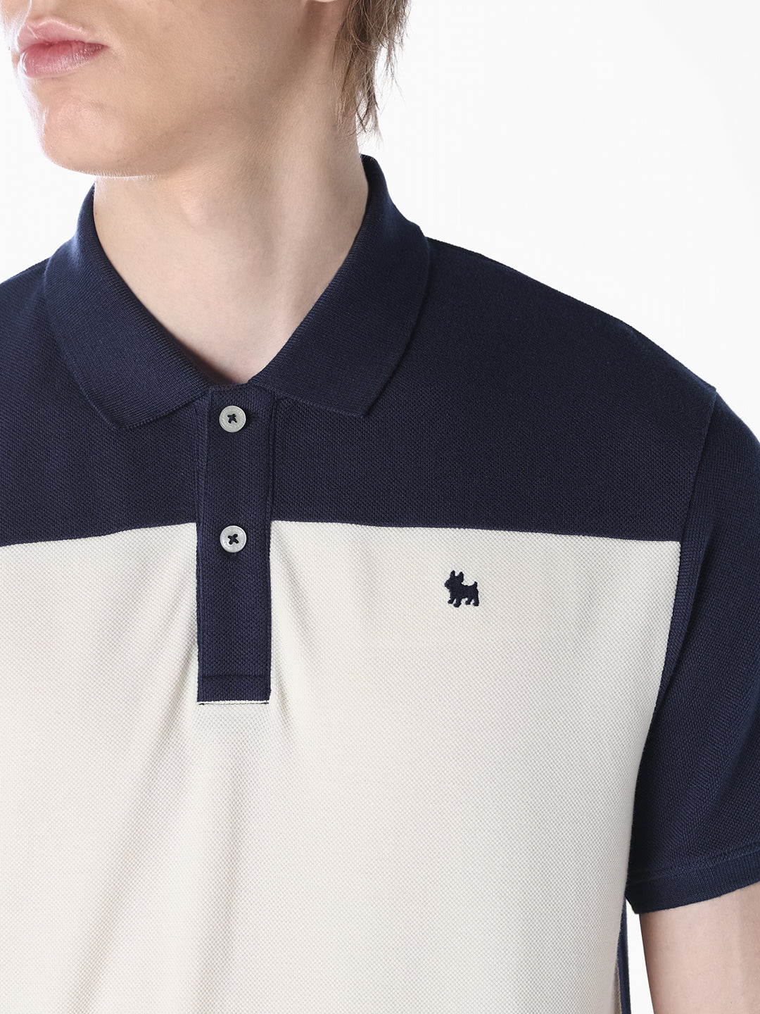 Blue Colourblocked Regular Fit Polo