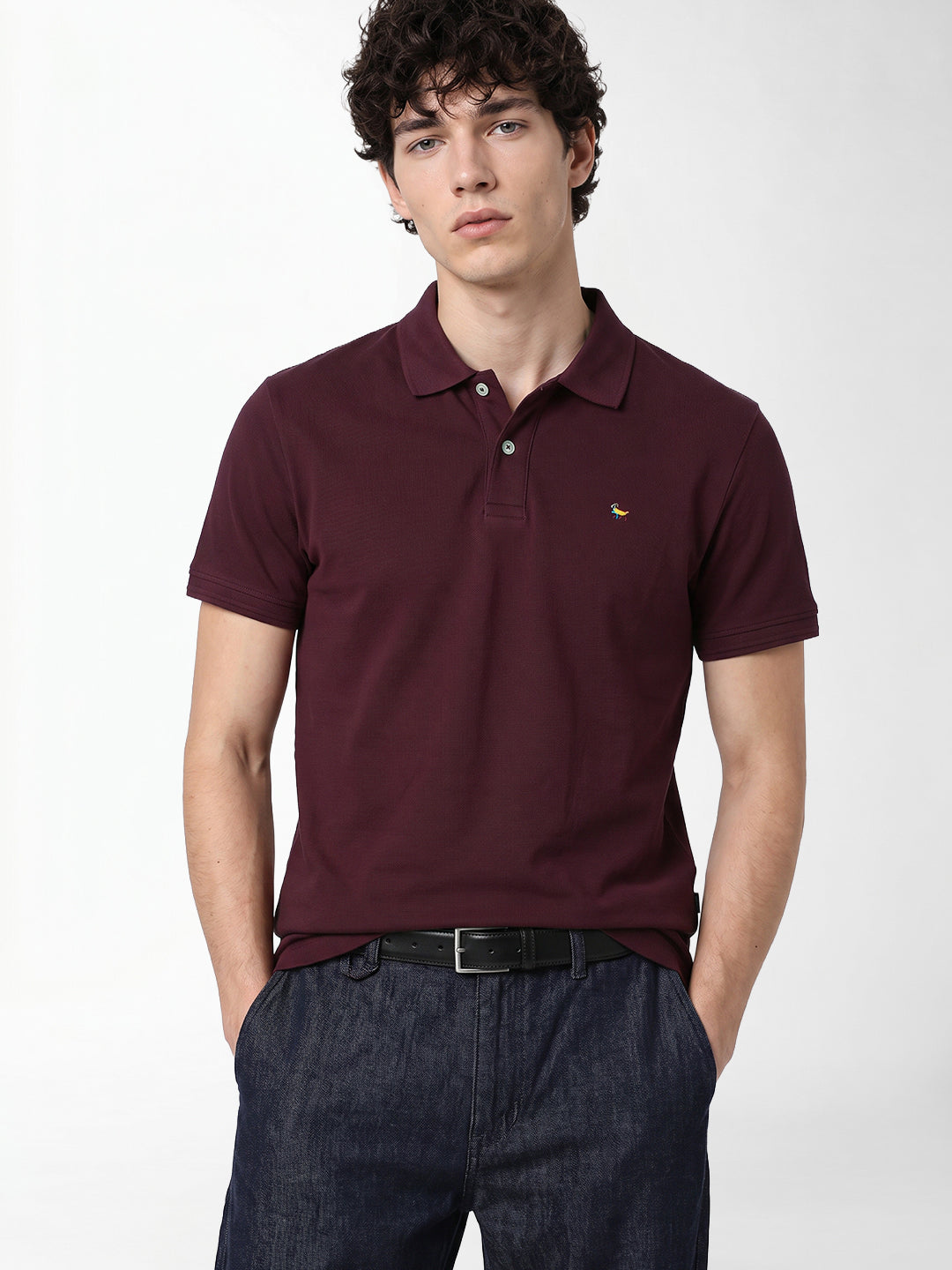 Burgundy Embroidered Polo