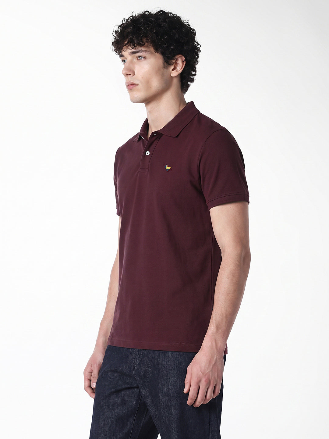 Burgundy Embroidered Polo