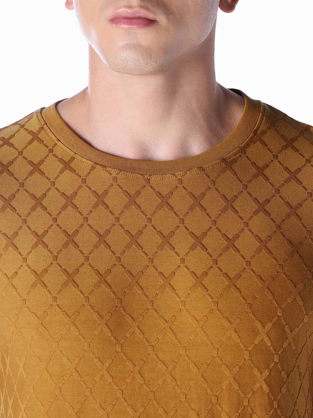 Brown Solid Regular Fit T-shirt
