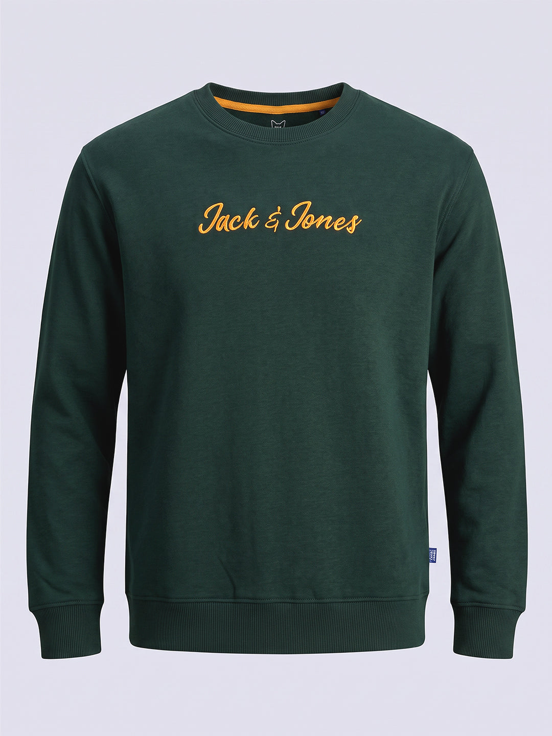 Boys Embroidered Print Sweatshirt