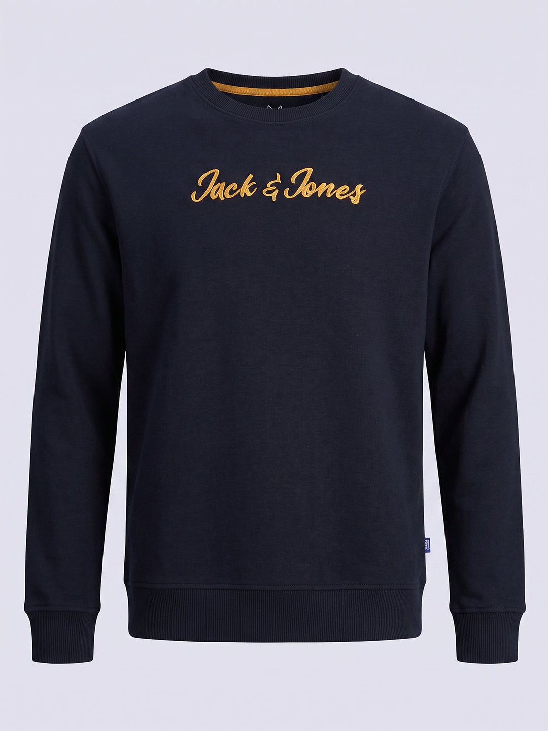 Boys Blue Embroidered Print Sweatshirt