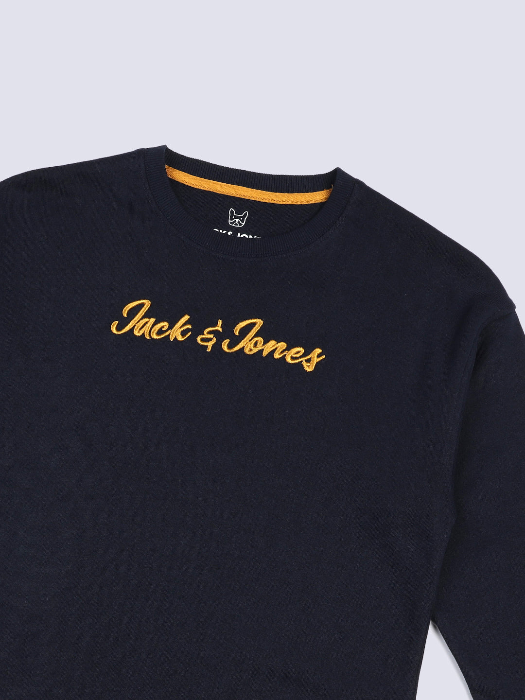 Boys Blue Embroidered Print Sweatshirt