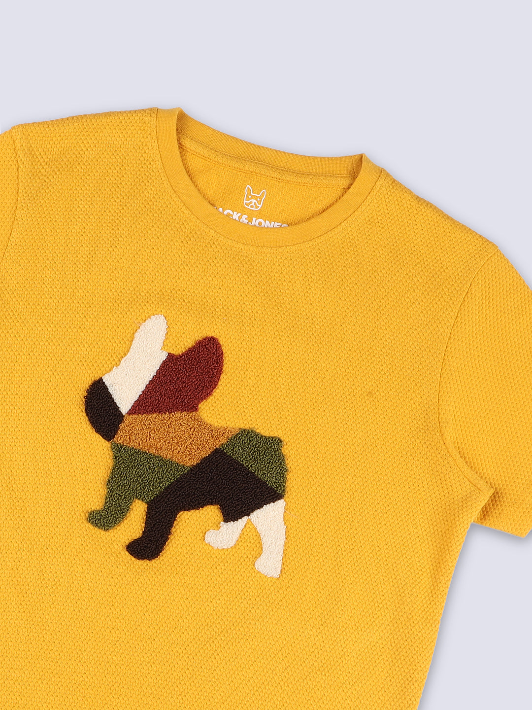 Boys Yellow Dog Print T-shirt