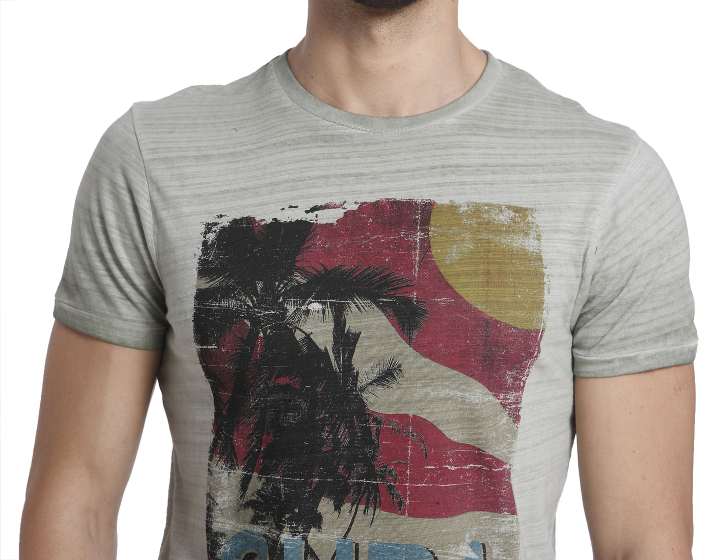 Graphic Print Casual T-Shirt