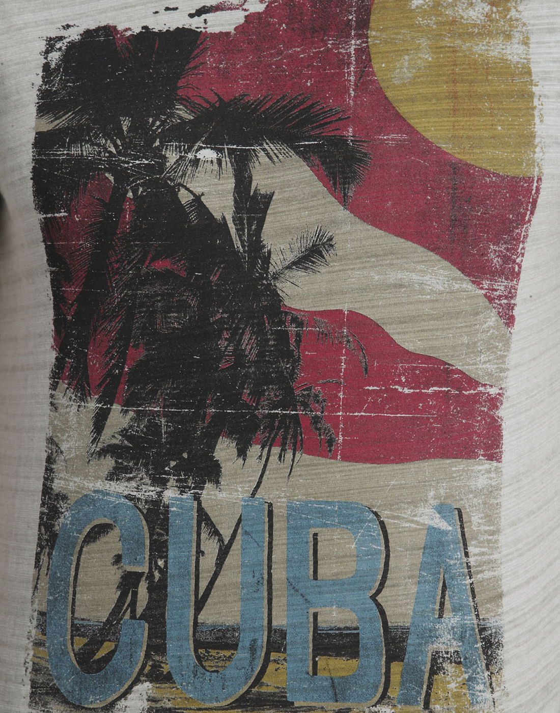 Graphic Print Casual T-Shirt