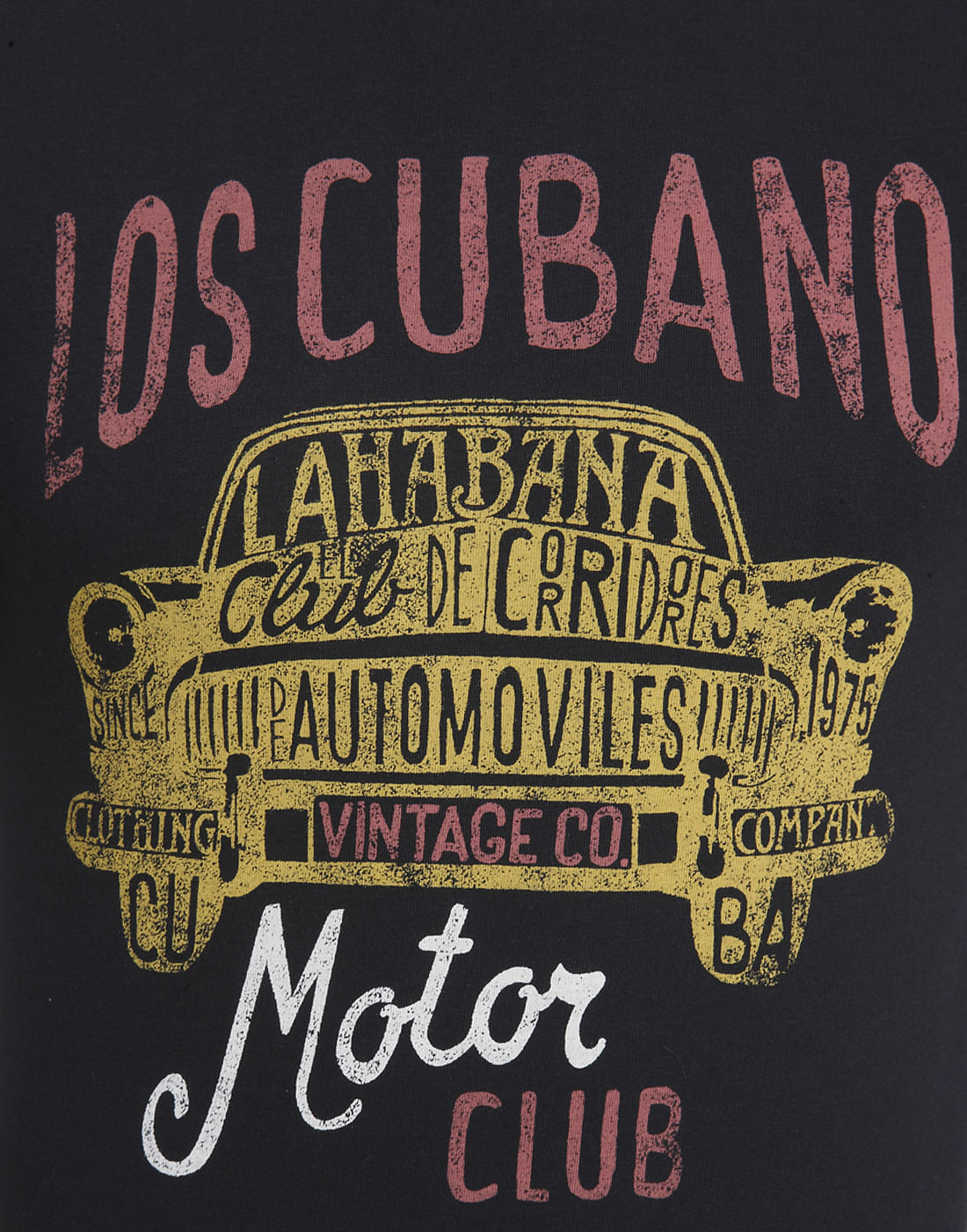 Graphic Print Casual T-Shirt