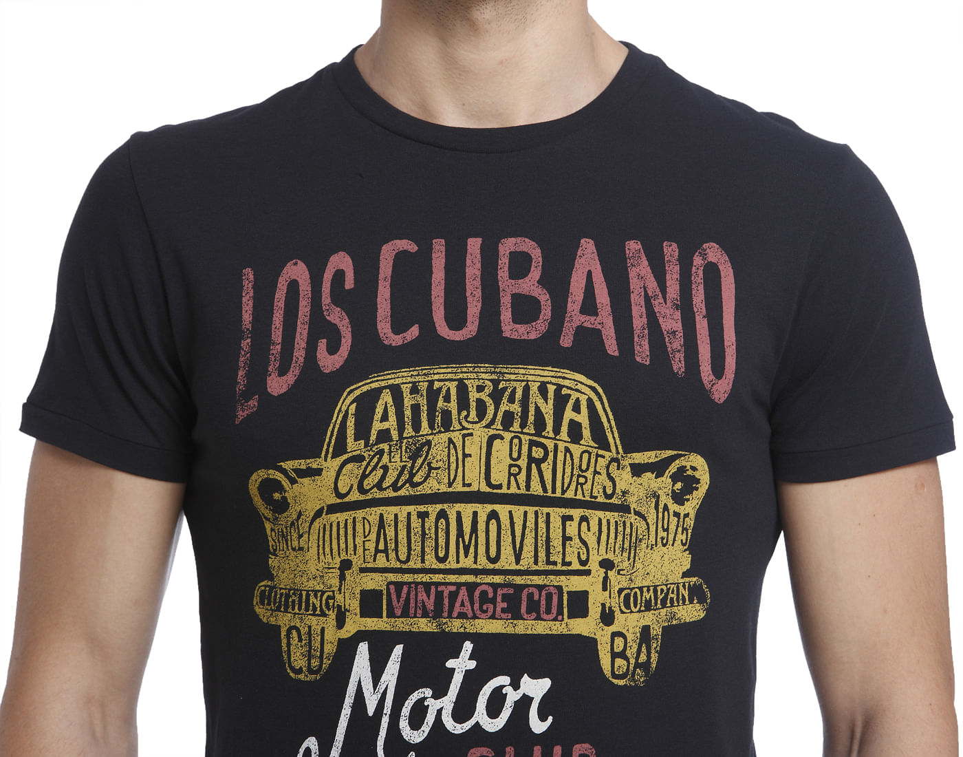 Graphic Print Casual T-Shirt
