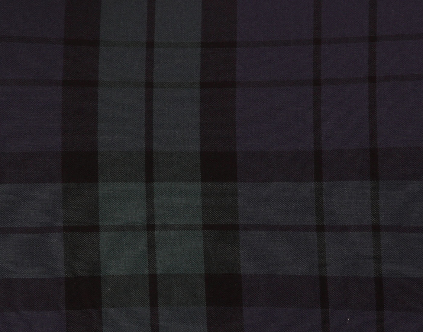 Blue Check Slim Fit Shirt