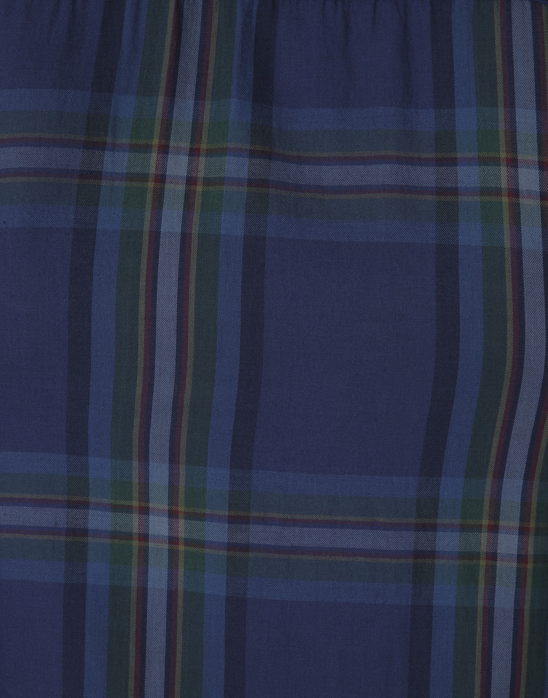 Blue & Green Check Slim Fit Shirt