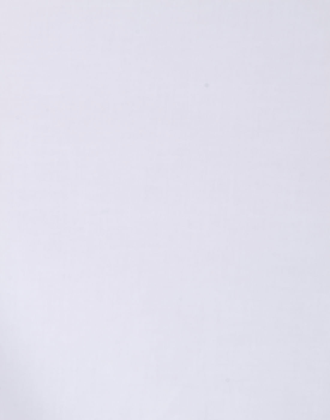 White Colour Blocked Shirt