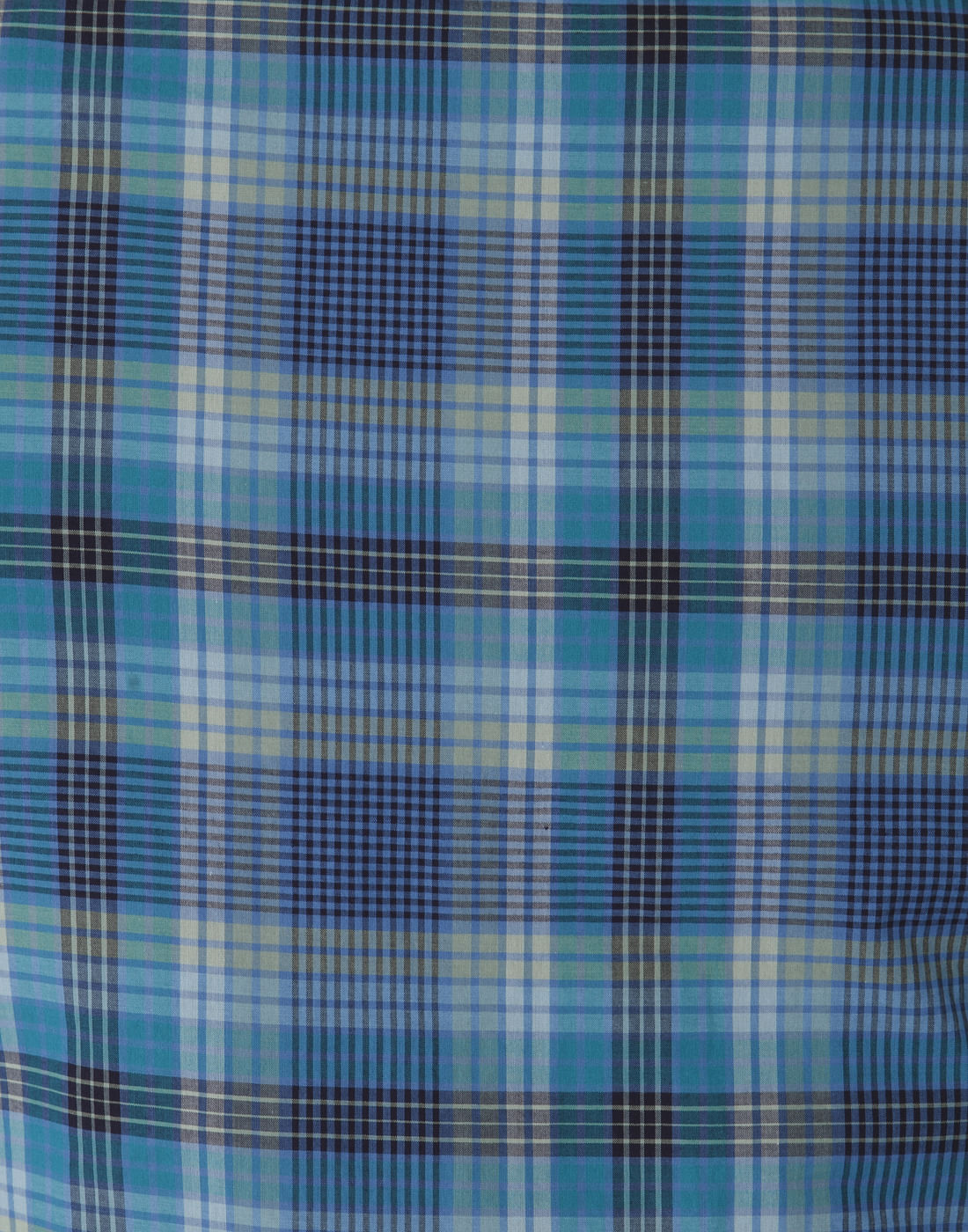 Blue Check Shirt