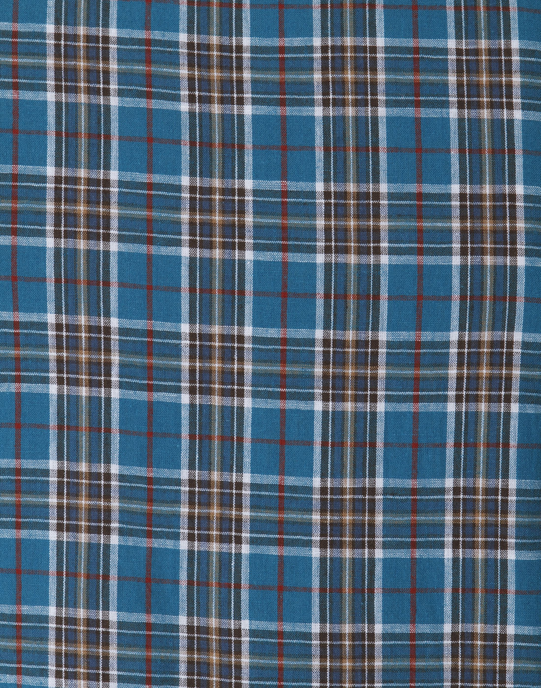 Blue Check Linen Shirt