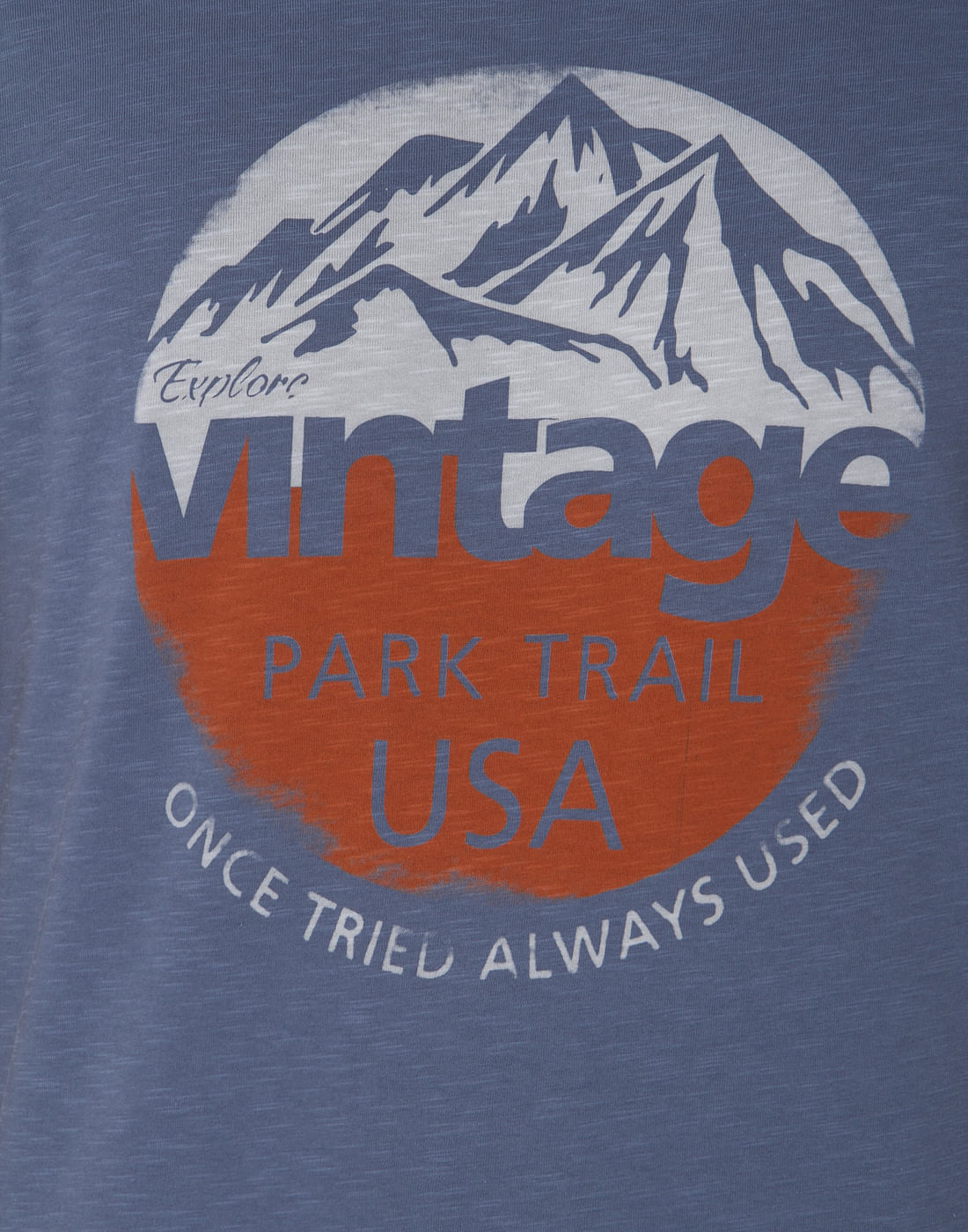Blue Graphic Print Crew Neck T-Shirt