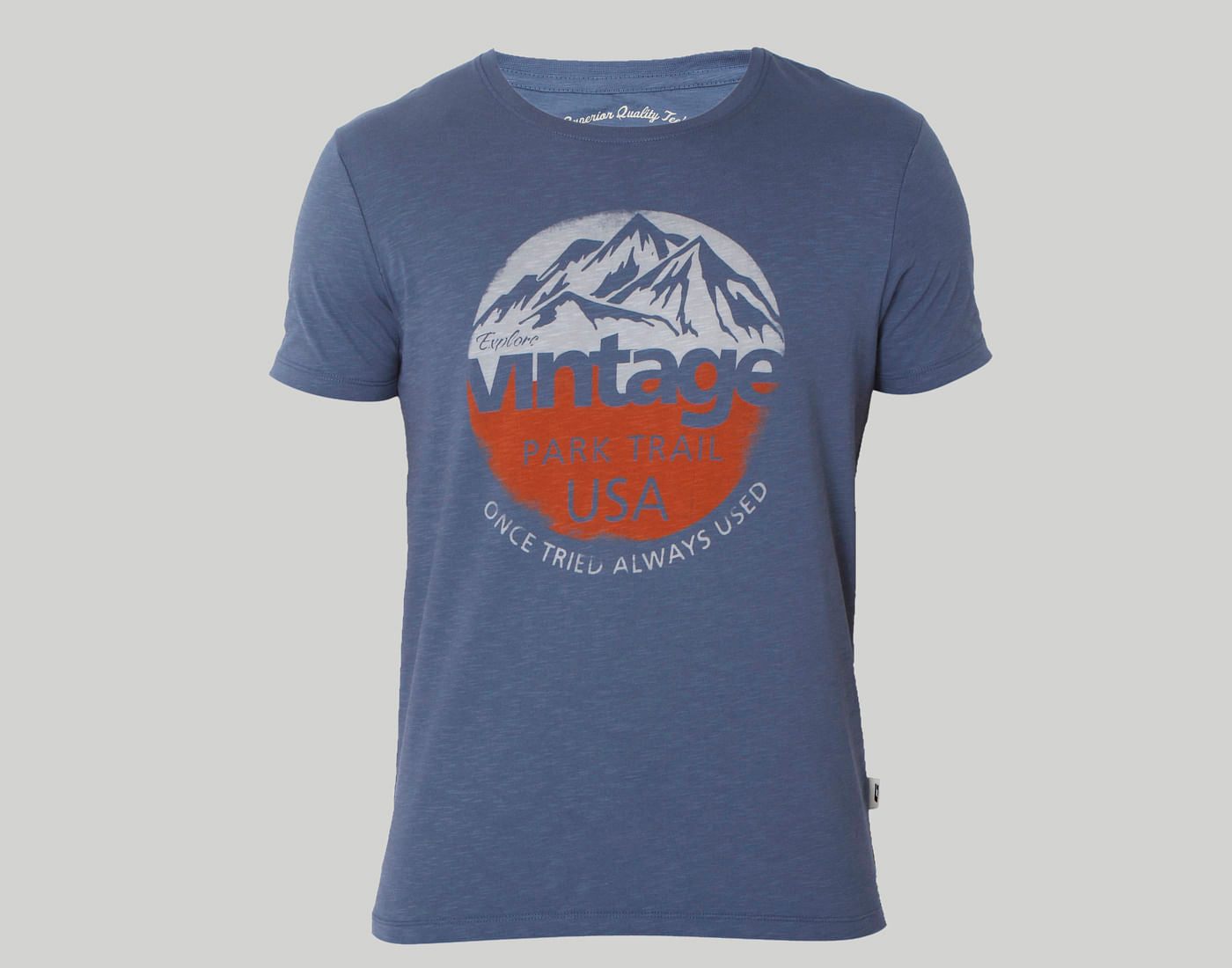 Blue Graphic Print Crew Neck T-Shirt