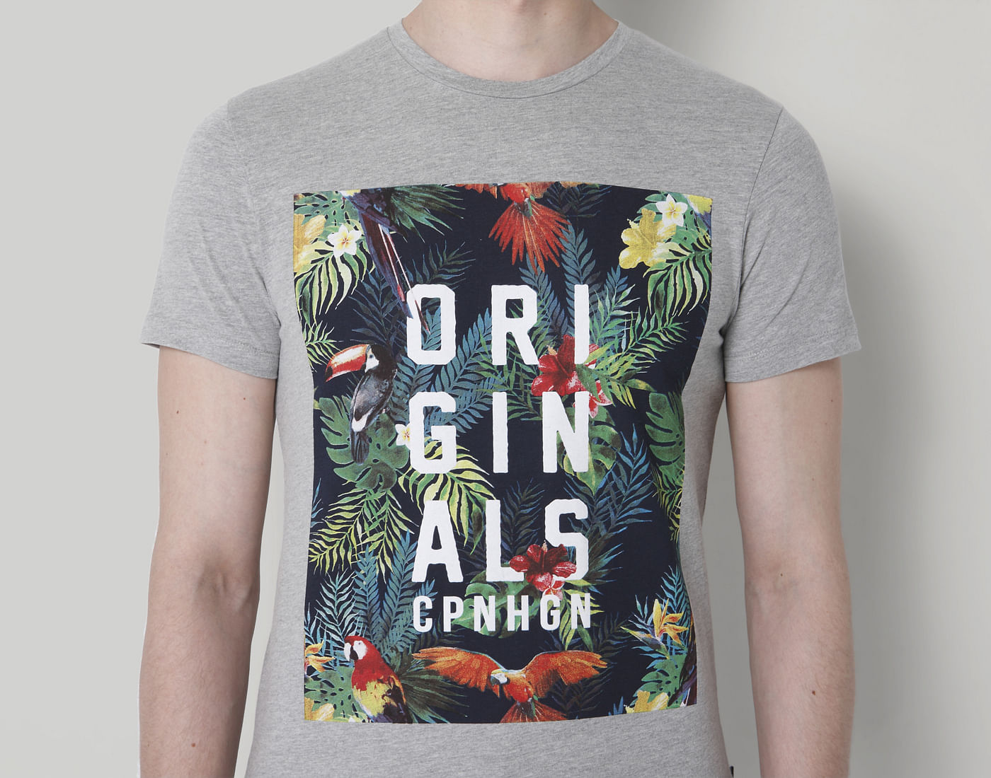 Grey Graphic Print Crew Neck T-Shirt