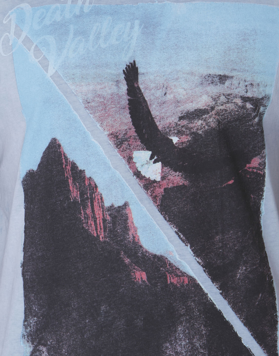 Blue Graphic Print Crew Neck T-Shirt