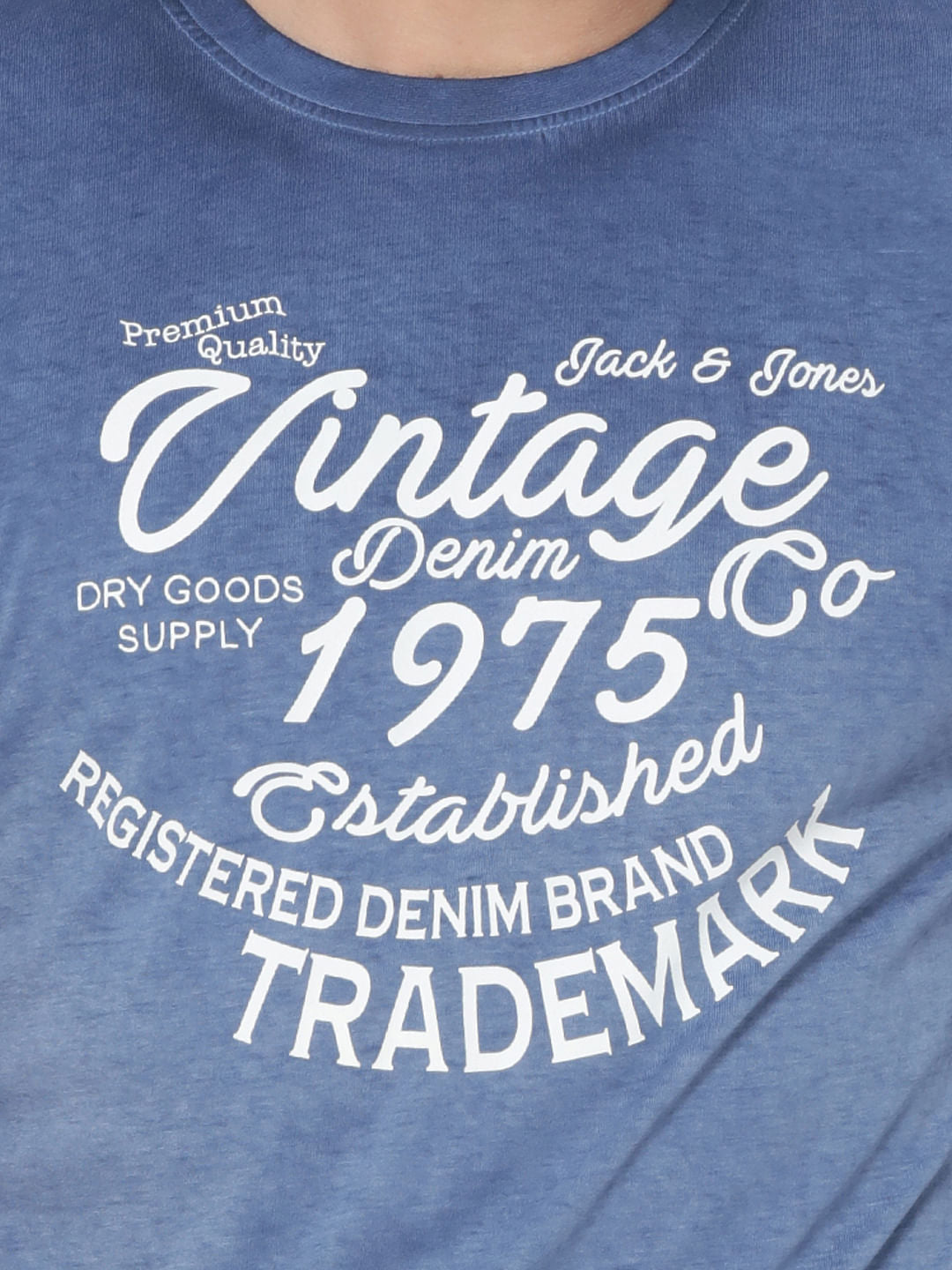 Blue Graphic Print Crew Neck T-Shirt
