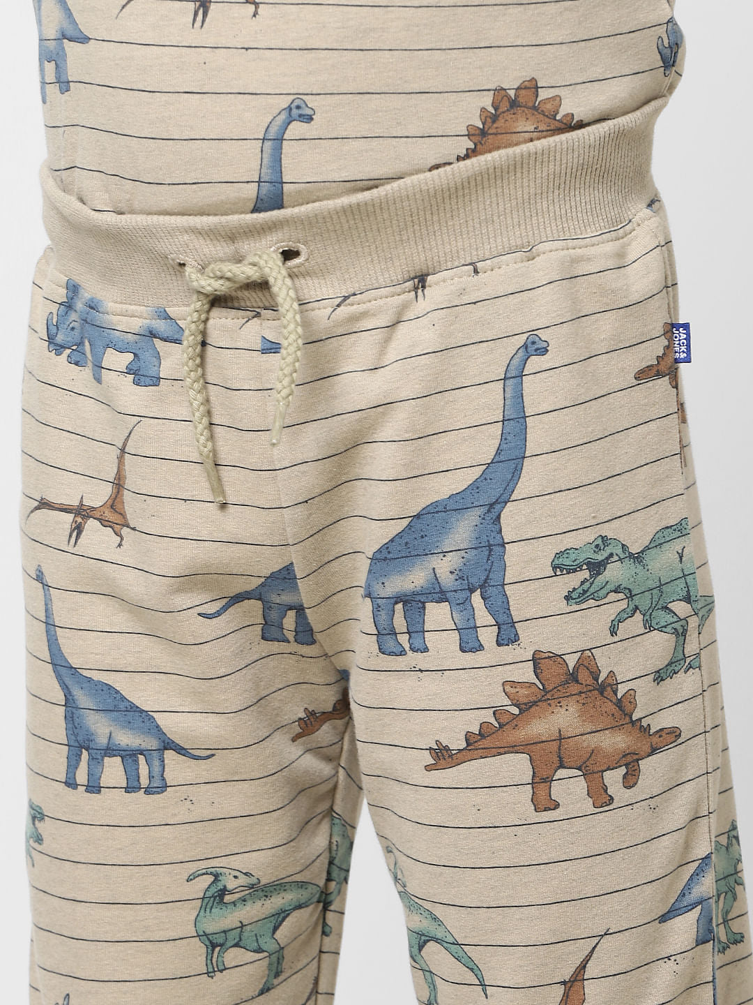 Boys Grey Striped Dinosaur Print Sweatpants