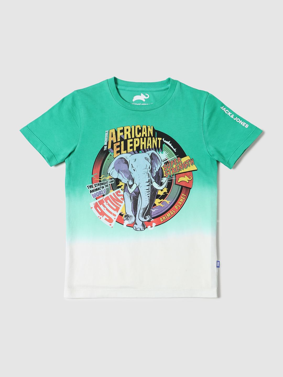 BOYS X ANIMAL PLANET Green Ombre Graphic Crew Neck T-shirt - 4/5Y