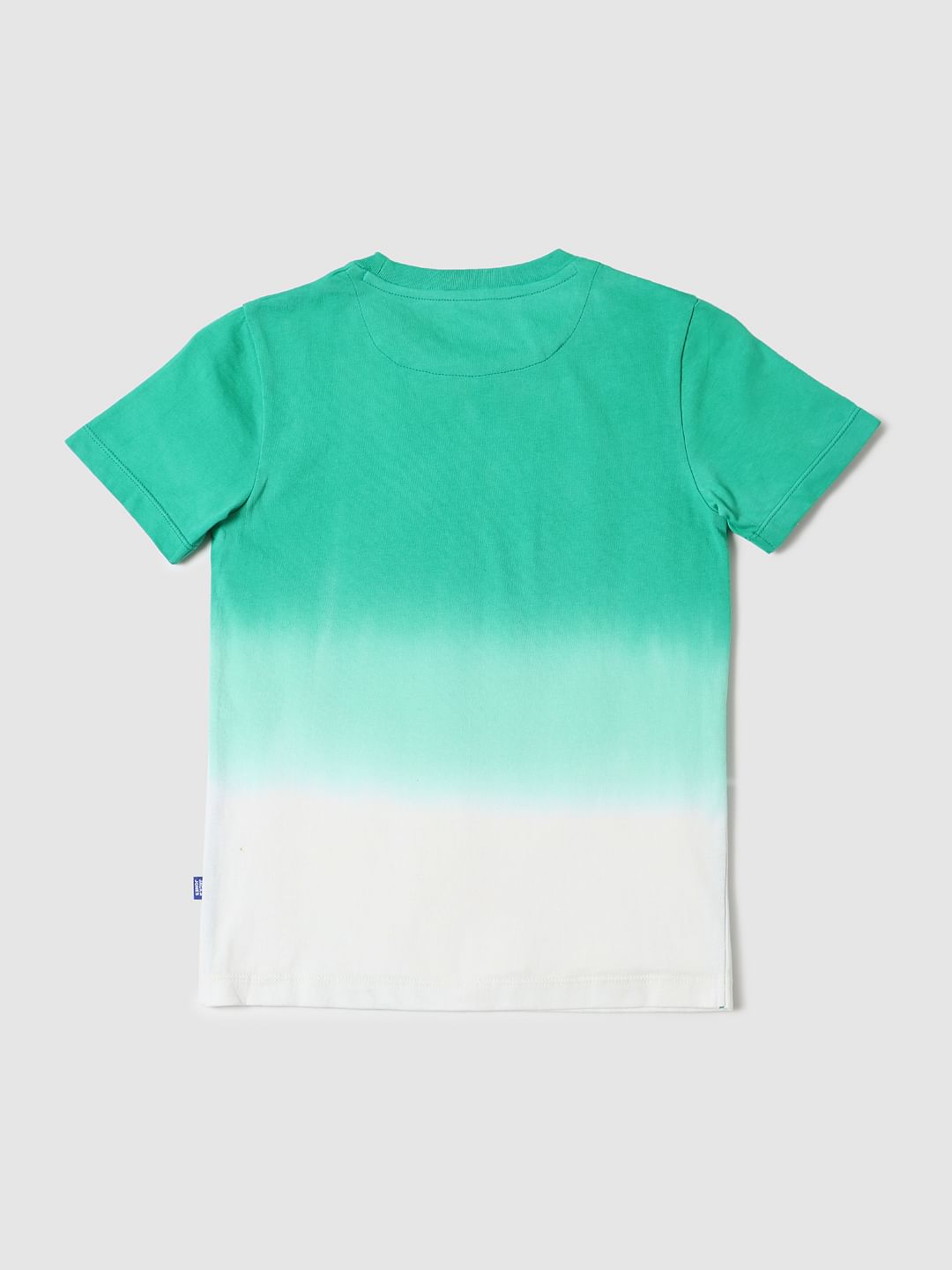 BOYS X ANIMAL PLANET Green Ombre Graphic Crew Neck T-shirt